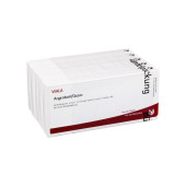 ARGENTUM/QUARZ Ampullen (PZN 2084751)