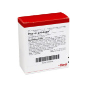 VITAMIN B6 INJEEL Ampullen (PZN 1894838)