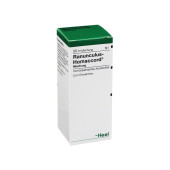 RANUNCULUS HOMACCORD Tropfen (PZN 855641)