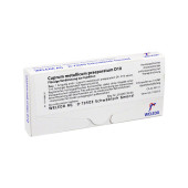 CUPRUM METALLICUM praep.D 10 Ampullen (PZN 1621483)