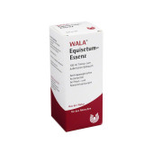 EQUISETUM ESSENZ (PZN 1681344)