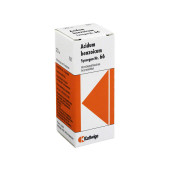 SYNERGON KOMPLEX 66 Acidum benzoicum Tropfen (PZN 998228)