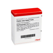 PULMO SUIS Injeel forte Ampullen (PZN 845683)