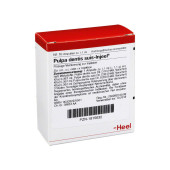 PULPA DENTIS SUIS Injeel Ampullen (PZN 1815632)