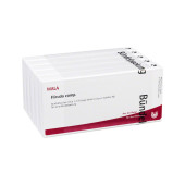 HIRUDO COMP.Ampullen (PZN 2085928)