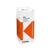 SYNERGON KOMPLEX 97 Ruta Tropfen (PZN 1855933)
