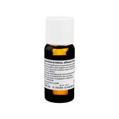 EQUISETUM ARVENSE ethanol.Decoctum D 6 Dilution (PZN 1613236)