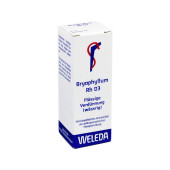 BRYOPHYLLUM RH D 3 Dilution (PZN 1629964)