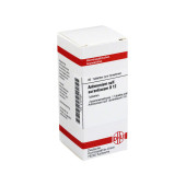 ANTIMONIUM SULFURATUM aurantiacum D 12 Tabletten (PZN 2127087)
