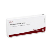 CORNEA/Levisticum comp.Ampullen (PZN 2085532)
