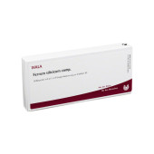 FERRUM SILICICUM comp.Ampullen (PZN 1751458)
