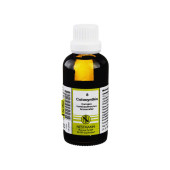 COLOCYNTHIS KOMPLEX Nr.8 Dilution (PZN 1910046)