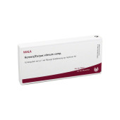 HORNERZ/Corpus vitreum comp.Ampullen (PZN 1751599)