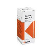 SYNERGON KOMPLEX 9b Mezereum Tropfen (PZN 997619)