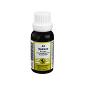 SPIRAEA KOMPLEX Nr.44 Dilution (PZN 961395)