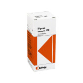SYNERGON KOMPLEX 108 Erigeron Tropfen (PZN 1856051)
