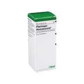 PLANTAGO HOMACCORD Tropfen (PZN 815794)