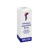ECHINACEA ANGUSTIFOLIA Rh D 3 Dilution (PZN 1630128)