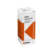 SYNERGON KOMPLEX 10 Ambra Tropfen (PZN 997625)