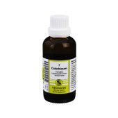 COLCHICUM KOMPLEX Nr.7 Dilution (PZN 1910017)