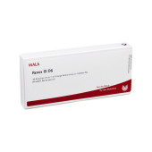 RENES GL D 6 Ampullen (PZN 2829530)