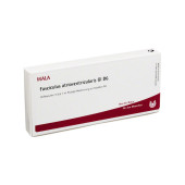 FASCICULUS atrioventricularis GL D 6 Ampullen (PZN 2829955)