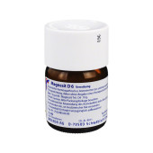 MAGNESIT D 6 Trituration (PZN 2595032)