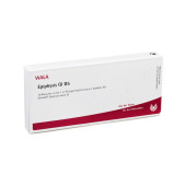 EPIPHYSIS GL D 5 Ampullen (PZN 3357458)