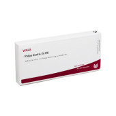 PULPA DENTIS GL D 6 Ampullen (PZN 3354684)