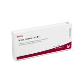 ARNICA E Planta tota D 4 Ampullen (PZN 3358021)