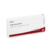 PULPA DENTIS GL D 15 Ampullen (PZN 2830786)
