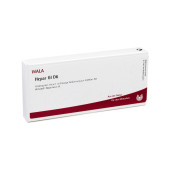 HEPAR GL D 6 Ampullen (PZN 2829748)