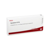 HYPOPHYSIS GL D 5 Ampullen (PZN 3356996)