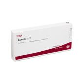 PULMO GL D 12 Ampullen (PZN 3354589)