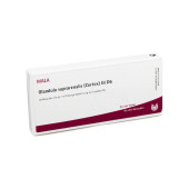 GLANDULA SUPRARENALES cortex GL D 6 Ampullen (PZN 3357151)