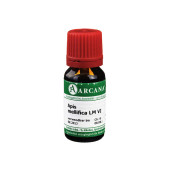 APIS MELLIFICA LM 6 Dilution (PZN 2600632)