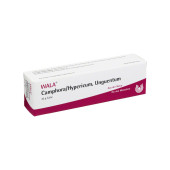 CAMPHORA/HYPERICUM Unguentum (PZN 2198182)
