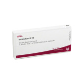 MESENCHYM GL D 6 Ampullen (PZN 2829777)