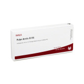 PULPA DENTIS GL D 5 Ampullen (PZN 3354678)