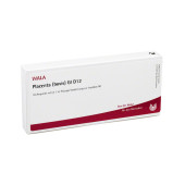 PLACENTA BOVIS GL D 12 Ampullen (PZN 3353377)