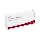 MEDULLA SPINALIS tota GL D 6 Ampullen (PZN 3356223)