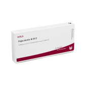 PULPA DENTIS GL D 12 Ampullen (PZN 3354715)