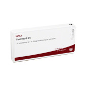 PANCREAS GL D 5 Ampullen (PZN 2829783)