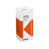 SYNERGON KOMPLEX 61 Cimicifuga Tropfen (PZN 2545519)