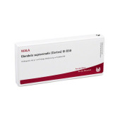 GLANDULA SUPRARENALES cortex GL D 30 Ampullen (PZN 3357211)