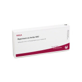 HYPERICUM EX Herba D 30 Ampullen (PZN 2879404)