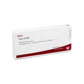 COLON GL D 6 Ampullen (PZN 2830013)