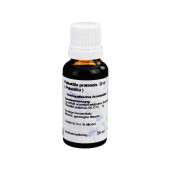 PULSATILLA D 12 Dilution (PZN 2402381)
