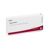 PULMO GL D 6 Ampullen (PZN 2830846)
