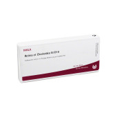 RETINA ET Chorioidea GL D 10 Ampullen (PZN 3354359)